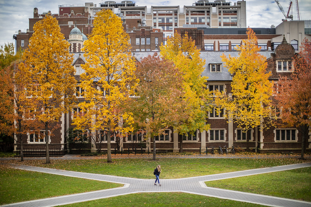 University of Pennsylvania's campus in the fall. A lone individual walks along the intersection of two pathways.