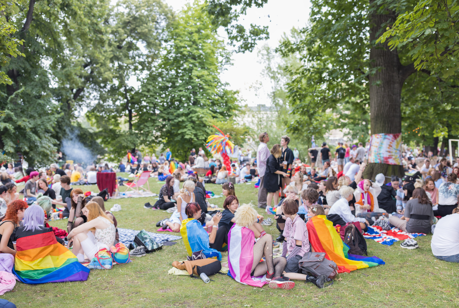 A large and diverse gathering of people sitting in the grass. Several are donning various pride flags that celebrate their identity.